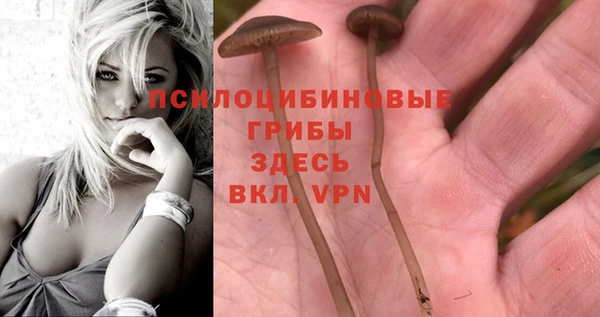 марки lsd Баксан