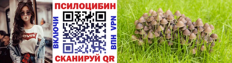 Псилоцибиновые грибы Cubensis  OMG как войти  Бокситогорск  купить закладку 