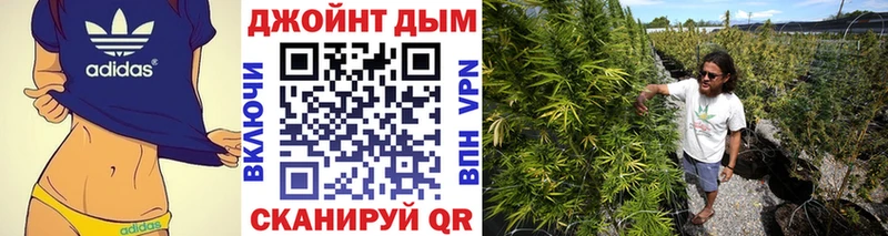 закладки  Бокситогорск  Каннабис сатива 